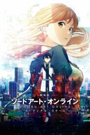 Sword Art Online: Ordinal Scale